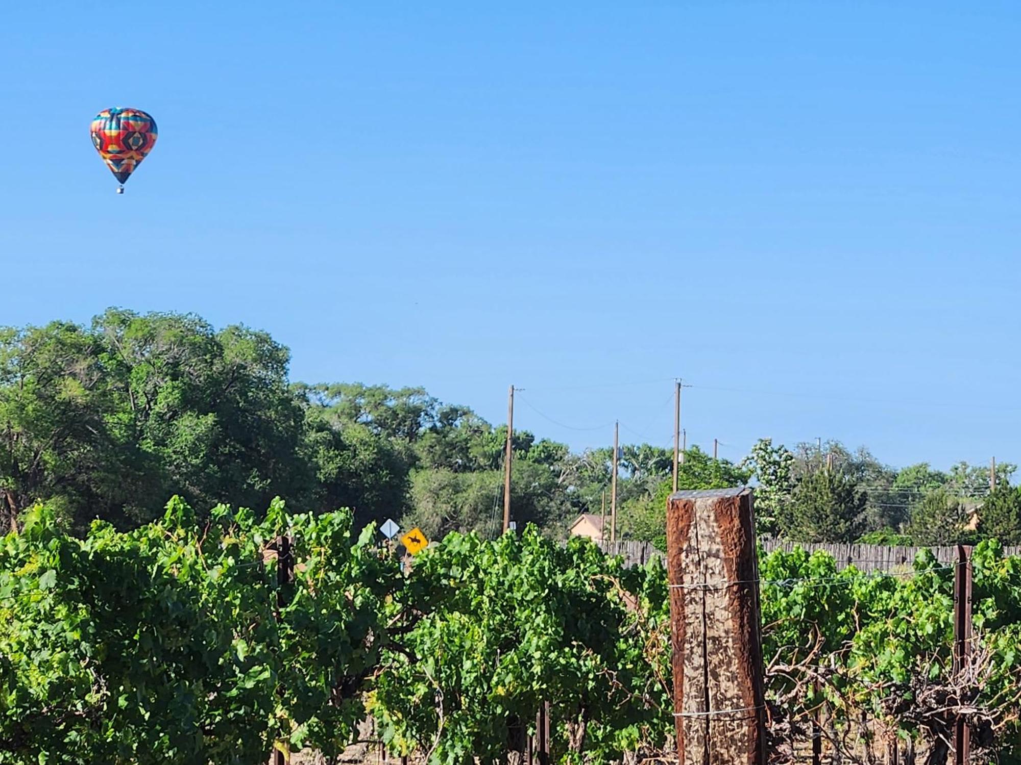 Red Mountain Manor Vineyard And Guesthouse Rio Rancho Ngoại thất bức ảnh